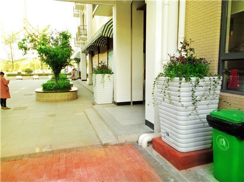 漢陽-芳草路小學.jpg 漢陽-芳草路小學.jpg